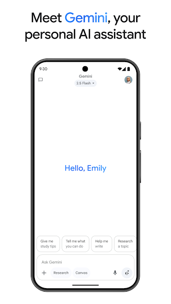 Gallery image 2 - Google Gemini