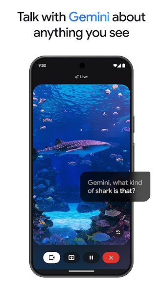 Gallery image 3 - Google Gemini