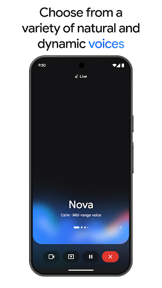 Gallery image 8 - Google Gemini